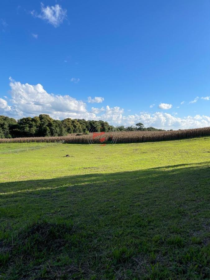 Fazenda/sítio/chácara/haras à venda  no Belo Horizonte - Campo Alegre, SC. Imóveis